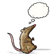 Cartoon Rat N19
