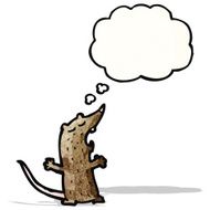 Cartoon Rat N20