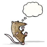Cartoon Rat N22