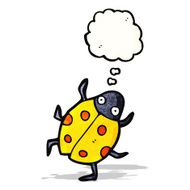 Cartoon Ladybug N35