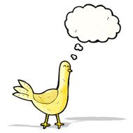 Cartoon Pigeon N11