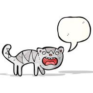 crazy cartoon cat