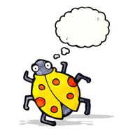 Cartoon Ladybug N41