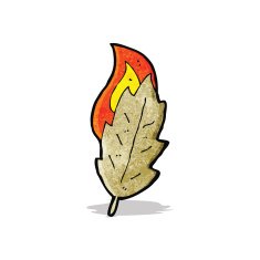 cartoon burning leaf N5