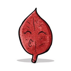 red leaf cartoon character N5