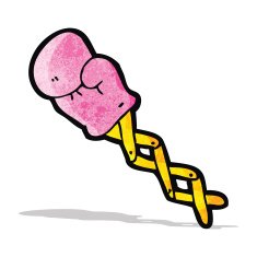 cartoon joke boxing glove N2