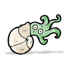 cartoon nautilus squid N3