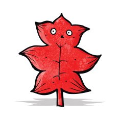 Cartoon Leaf N14