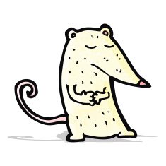 cartoon white lab rat N4