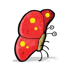 funny cartoon butterfly N12