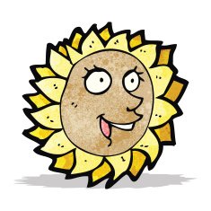 Cartoon Sunflower N16