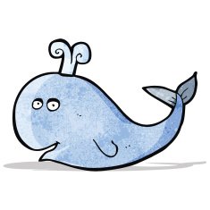 Cartoon Whale N24