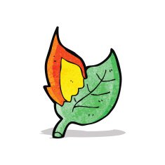 burning leaf cartoon N2