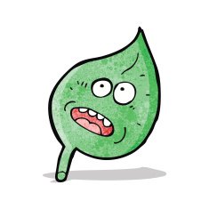 cartoon leaf with face N2