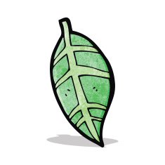 carton leaf