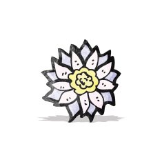 cartoon flower N53