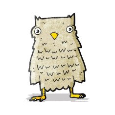Cartoon Owl N45