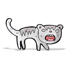 funny cartoon cat N23