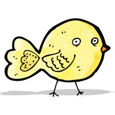 funny cartoon bird N2