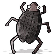 cartoon bug N17