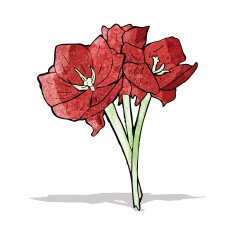 red flowers illustration