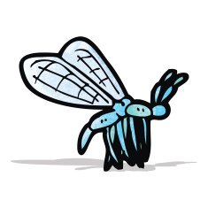 cartoon insect N3