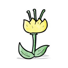 cartoon flower N55