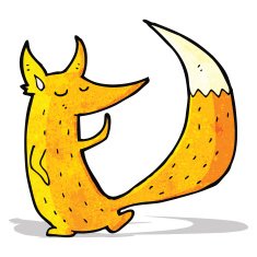 Cartoon Fox N24