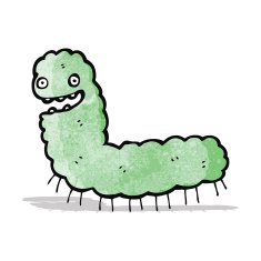 Cartoon Caterpillar N24