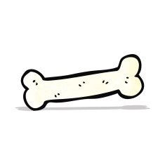 Cartoon Bone N4