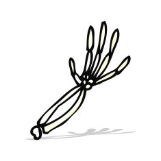 cartoon skeleton arm N2