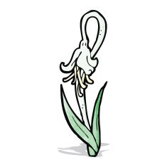 cartoon flower N61