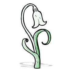 cartoon flower N63