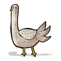 Cartoon Pigeon N4