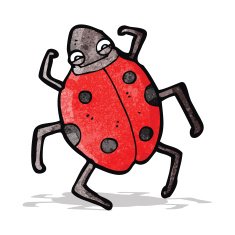 Cartoon Beetle N12