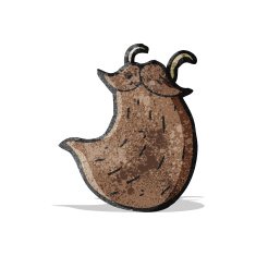 fake beard cartoon