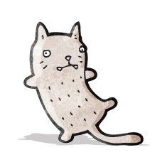 Cartoon Cat N78
