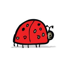 child's drawing of a ladybug