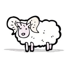 Cartoon Sheep N23