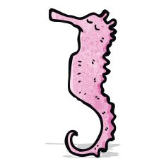 cartoon pink sea horse N2