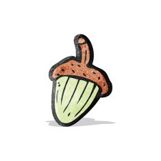 cartoon acorn N5
