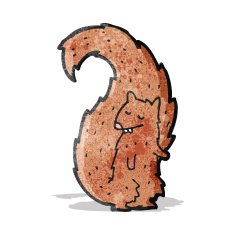 cartoon red squirrel N2