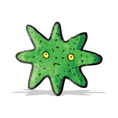 Cartoon Starfish N17