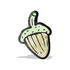 cartoon acorn N6