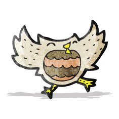 Cartoon Owl N48