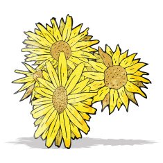 flowers drawing N6