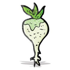 Cartoon Turnip N2
