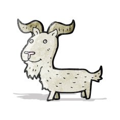 Cartoon Goat N15