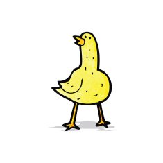 Cartoon Bird N35