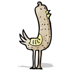 Cartoon Bird N37